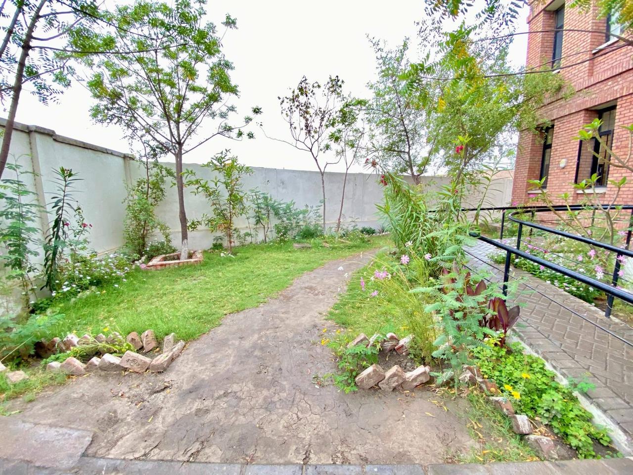 School garden pathway - campus greening project