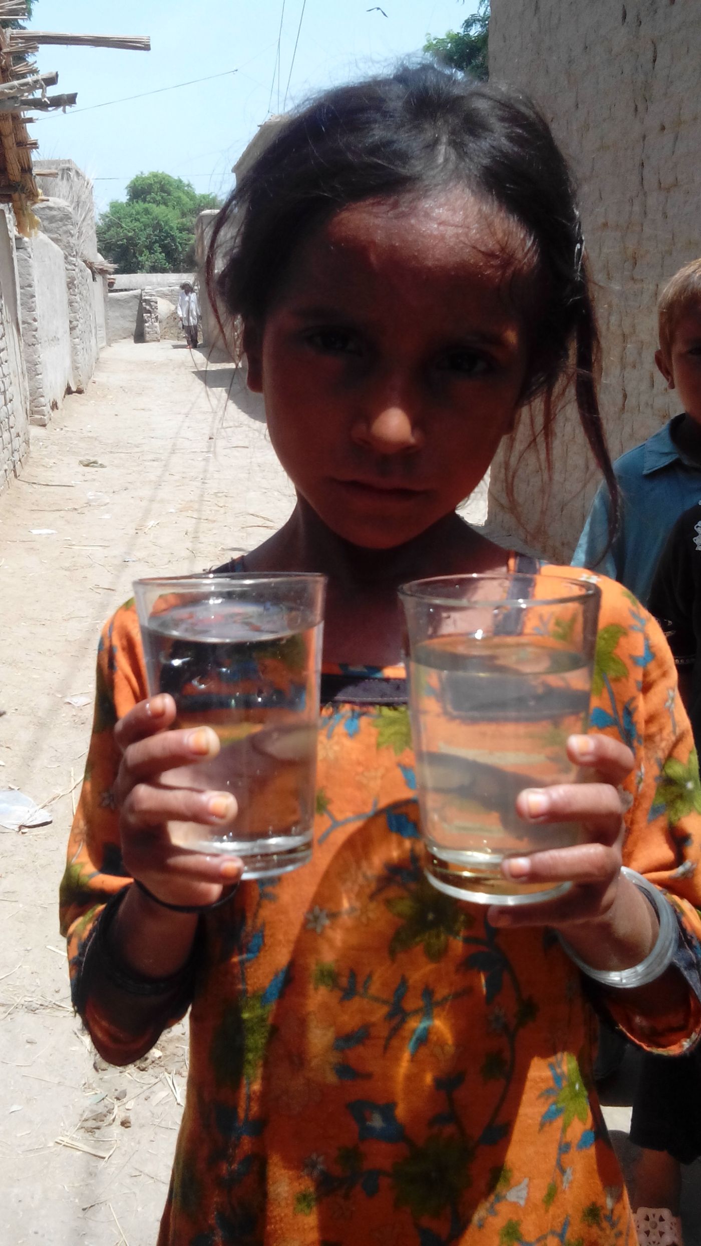 MEAL & impact - IPECS programme delivery