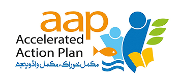 Accelerated Action Plan