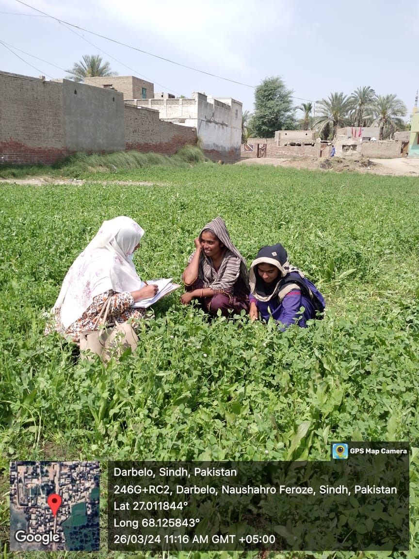 Inclusion & livelihoods - IPECS programme delivery
